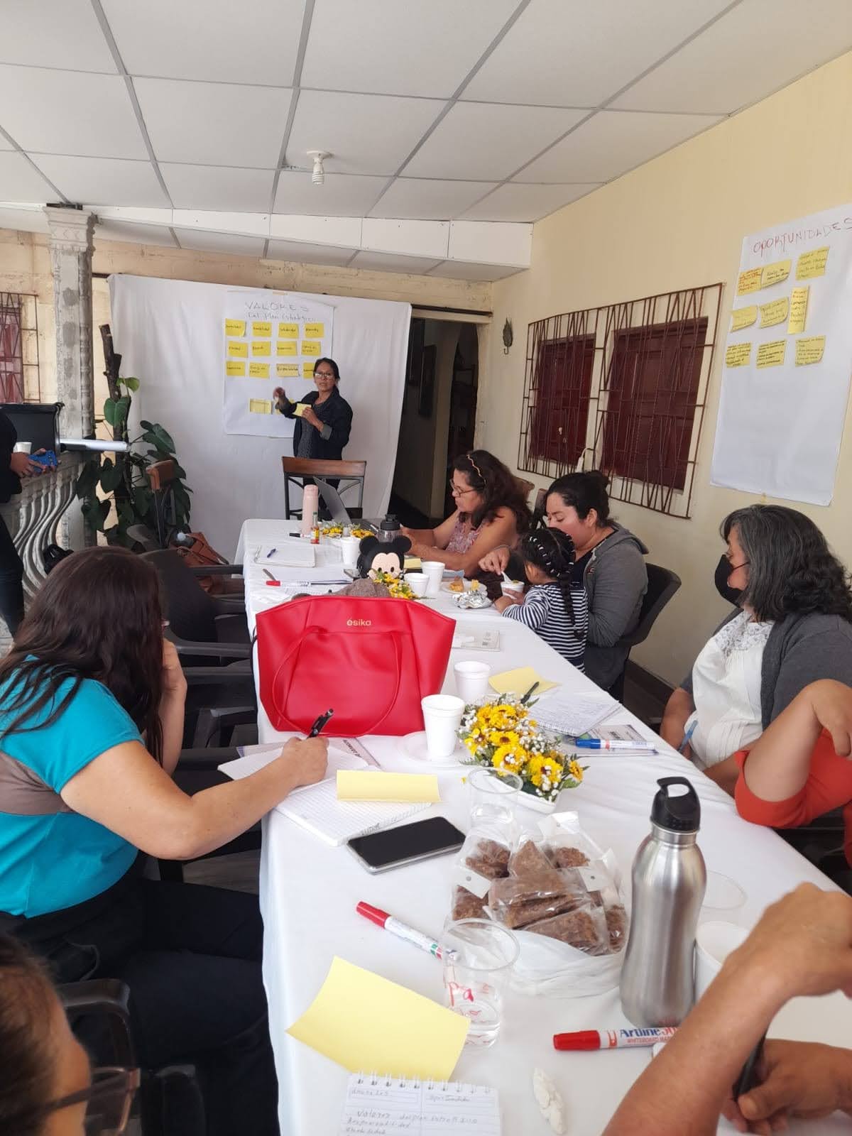 Elaboración de nuevo plan estratégico 
